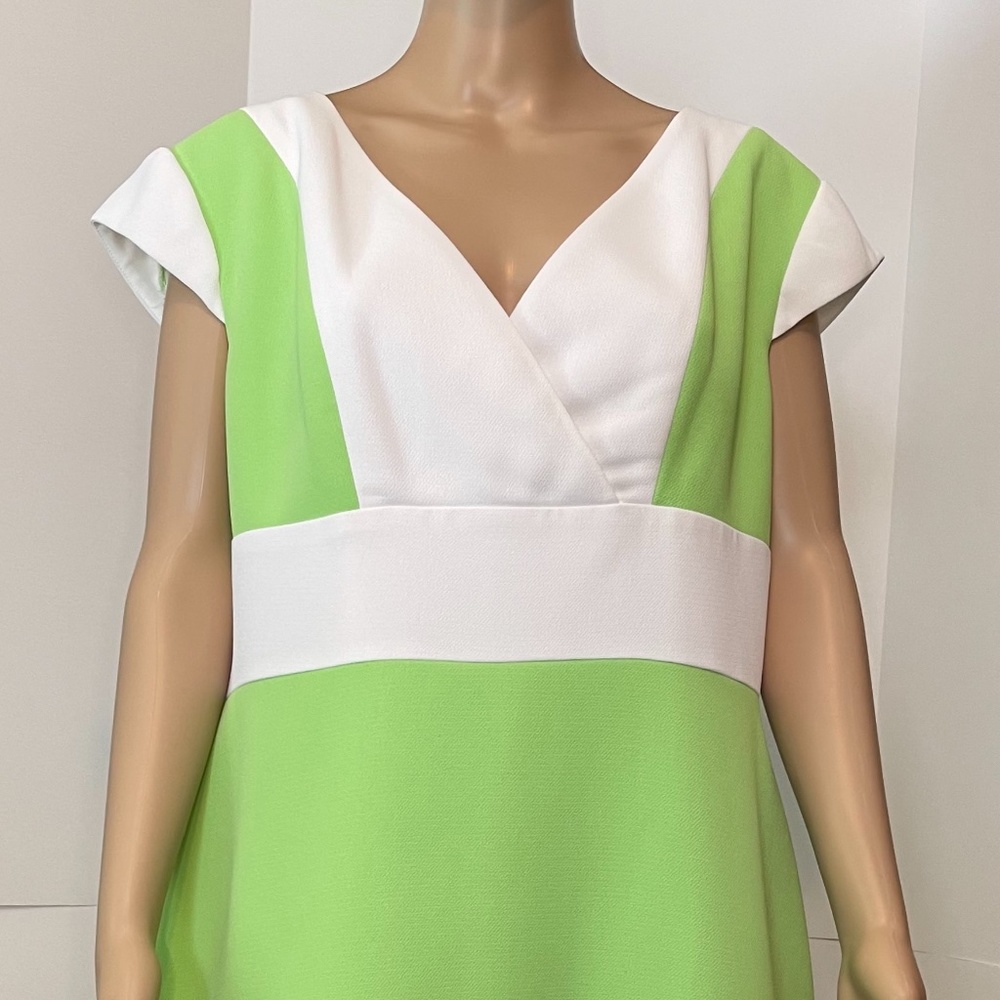 Chancelle Green and White Dress, 14